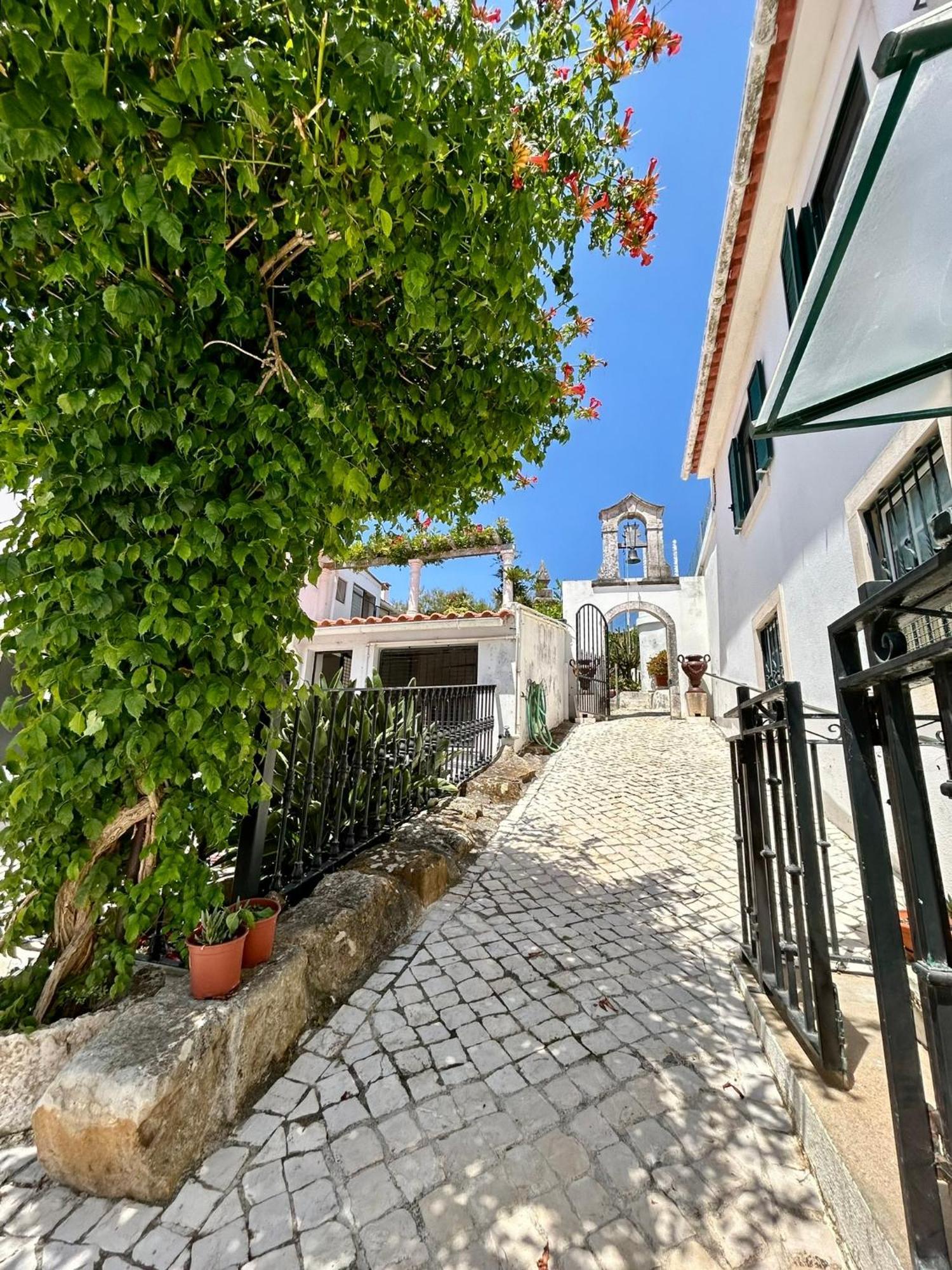 Traditional Portuguese Village House - Casa Martins No 52 Freiria Экстерьер фото